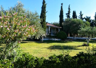 Garten mit Ferienhaus